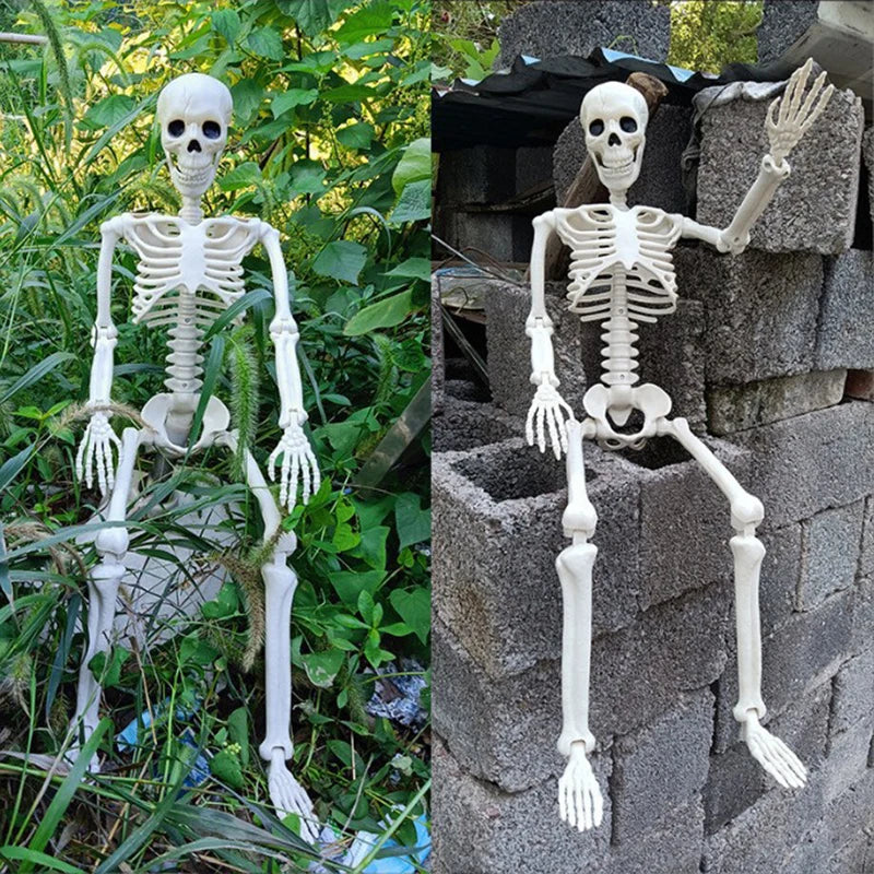 Modeling Skeleton