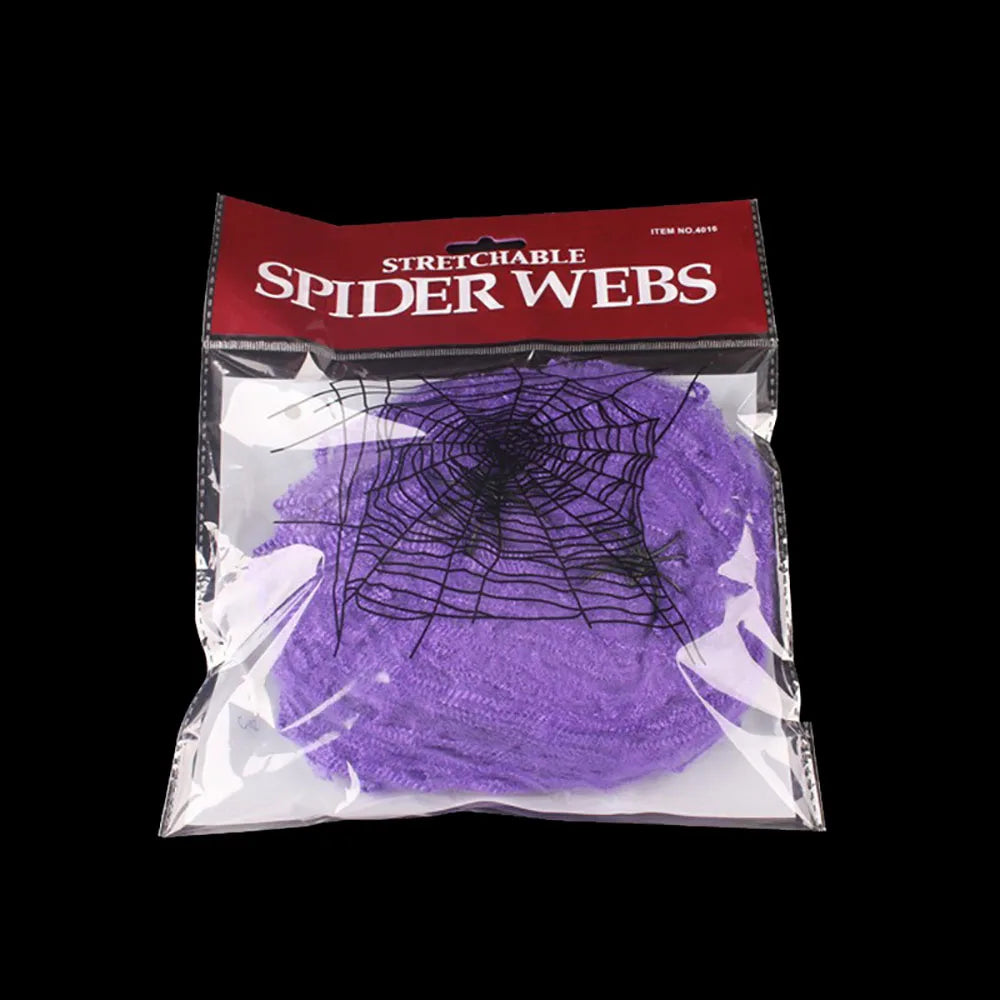 Spider Web