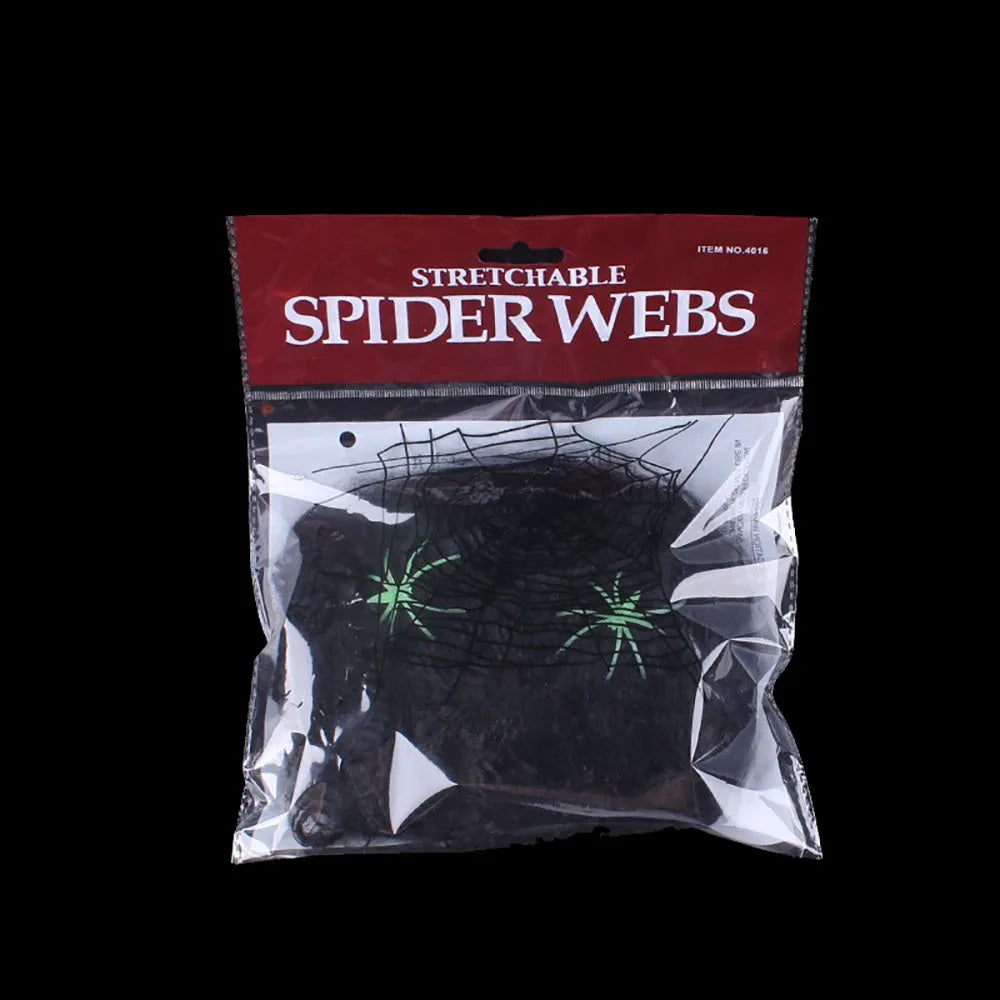 Spider Web