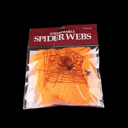 Spider Web