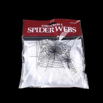 Spider Web