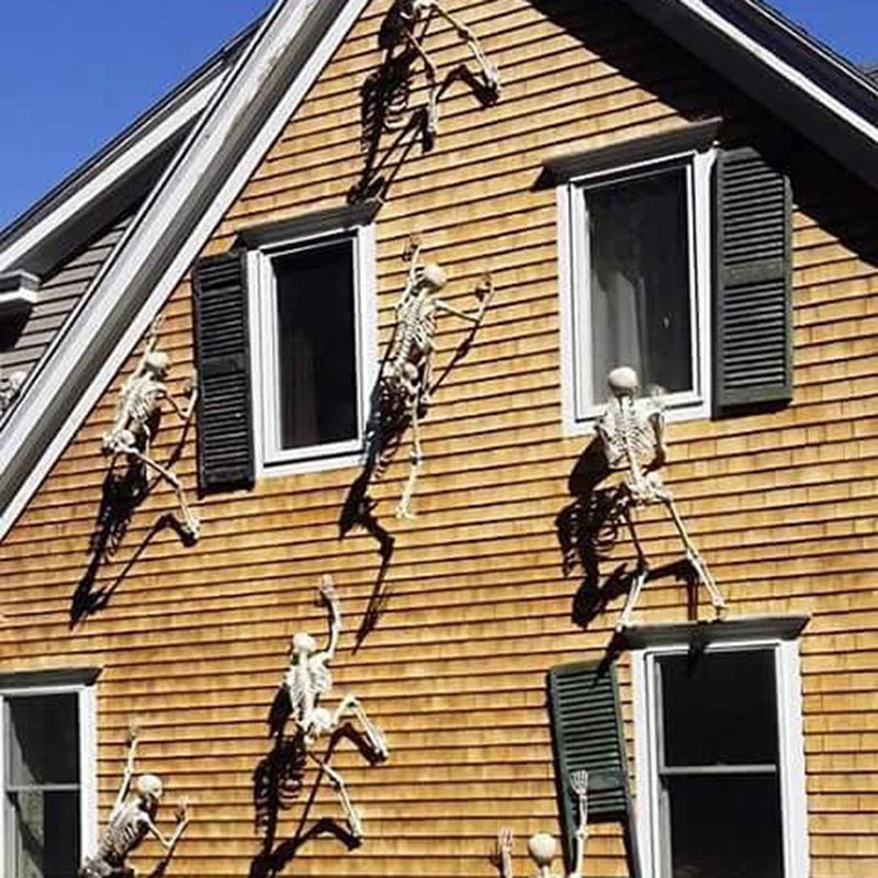 Modeling Skeleton