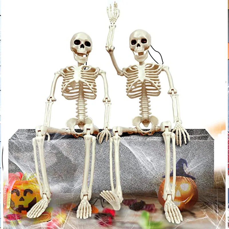 Modeling Skeleton