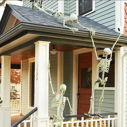 Modeling Skeleton