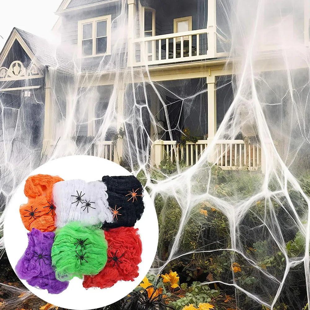 Spider Web