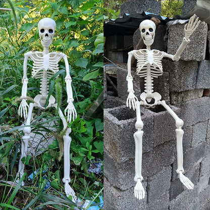 Modeling Skeleton