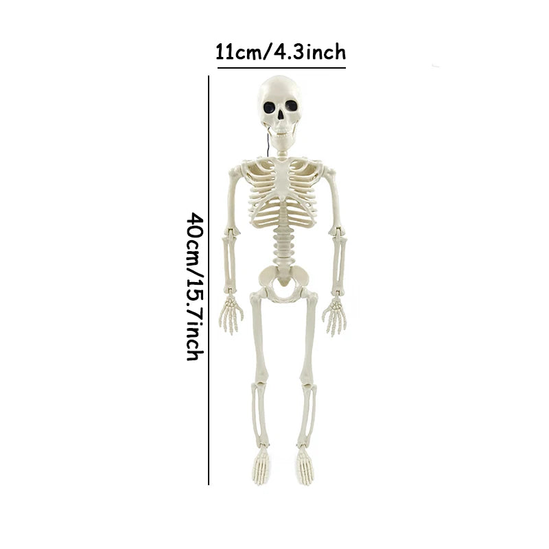 Modeling Skeleton