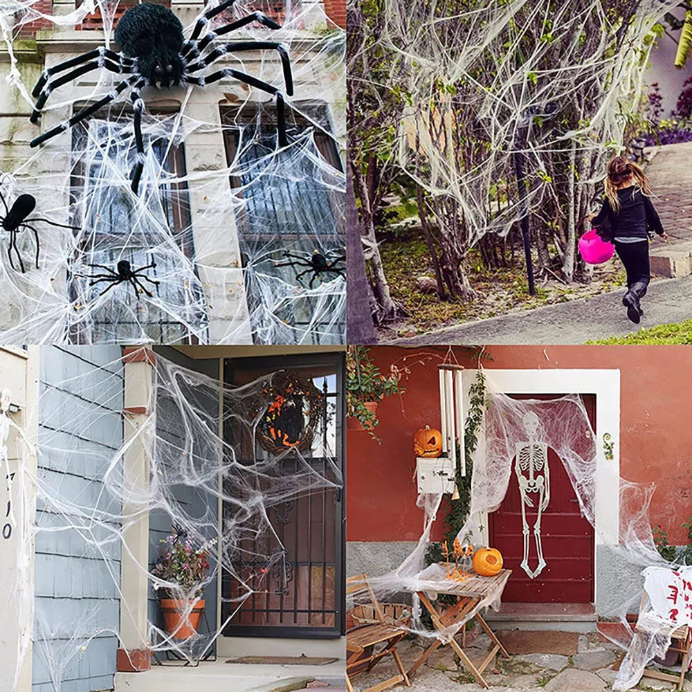 Spider Web