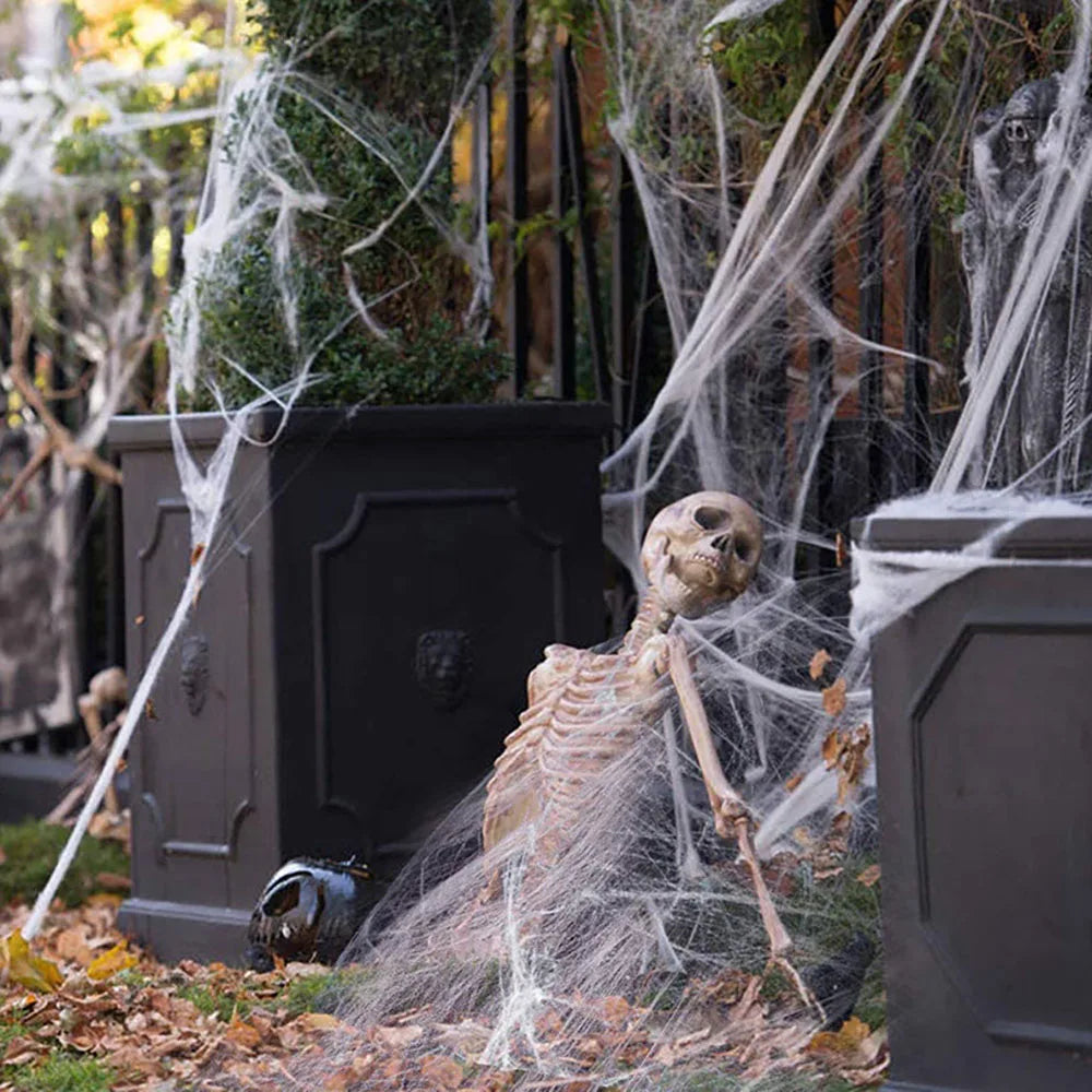 Spider Web